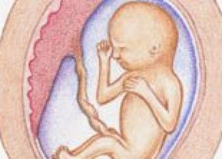Desarrollo del bebé en la semana 16 de embarazo