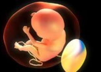 Desarrollo del bebé en la semana 18 de embarazo
