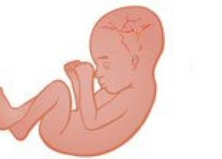 Desarrollo del bebé en la semana 22 de embarazo
