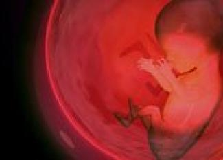 Desarrollo del bebé en la semana 27 de embarazo