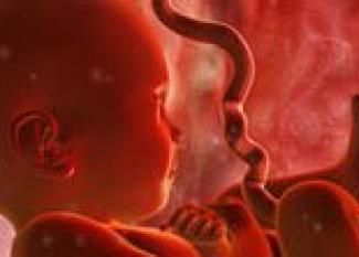 El desarrollo del bebé en la semana 36 de embarazo