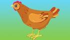 Cuentos infantiles en inglés: The Little Red Hen