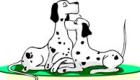 101 Dalmatians. Un cuento en inglés para los niños