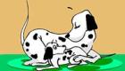 Cuentos de animales para niños: 101 Dálmatas