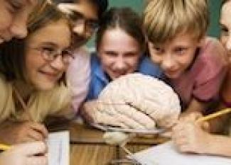 Los cambios en el cerebro de los niños