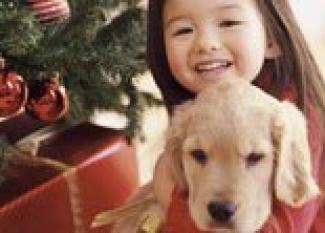 Importancia de las costumbres navideñas para los niños