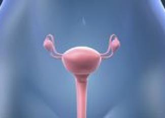 Fases del ciclo menstrual para quedar embarazada