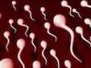 Infertilidad masculina: problemas en la eyaculación