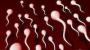 Infertilidad masculina: problemas en la eyaculación