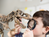 ¿Por qué a los niños les gustan tanto los dinosaurios?