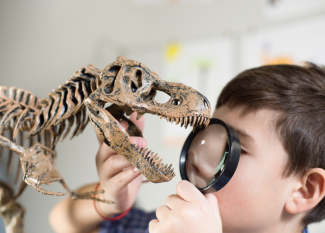 ¿Por qué a los niños les gustan tanto los dinosaurios?