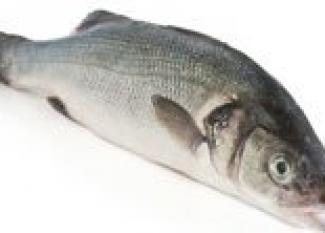 Consumo de pescado durante el embarazo
