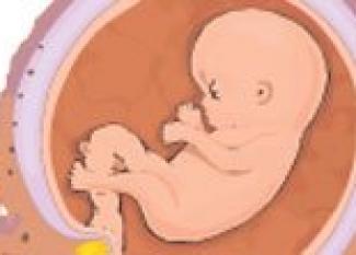 Desarrollo del bebé en la semana 21 de embarazo