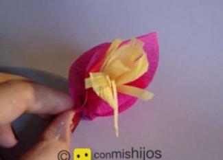 Crepe paper flowers