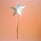 Magic wand