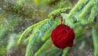 Bola de lana para el árbol de Navidad. Manualidades infantiles