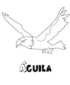 Aguila