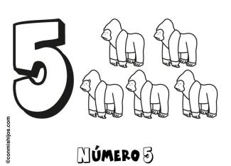 Número 5