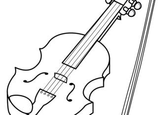 Violín y arco