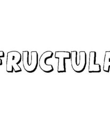 FRÚCTULA