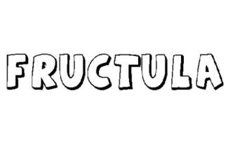 FRÚCTULA