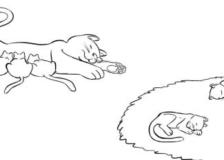 Gatitos durmiendo con su mamá. Dibujo infantil para niños