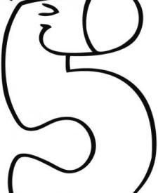 Número 5