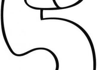 Número 5