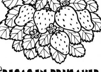 Fresas en primavera