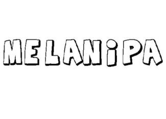 MELANIPA
