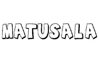 MATUSALÁ