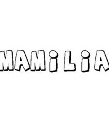 MAMILIA