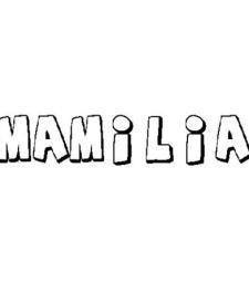 MAMILIA