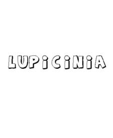 LUPICINIA