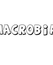 MACROBIA