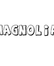 MAGNOLIA