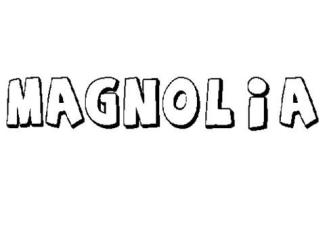 MAGNOLIA