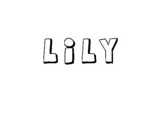 LILY