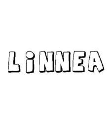 LINNEA