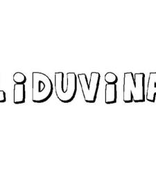 LIDUVINA