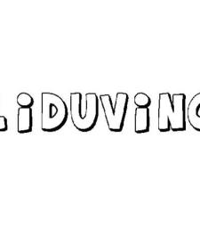 LIDUVINO