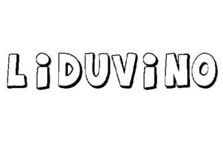LIDUVINO