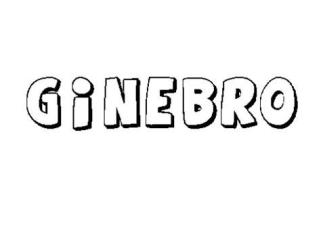 GINEBRO