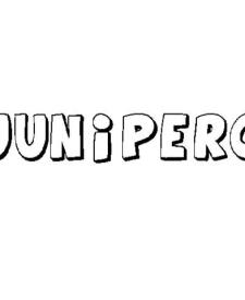 JUNÍPERO