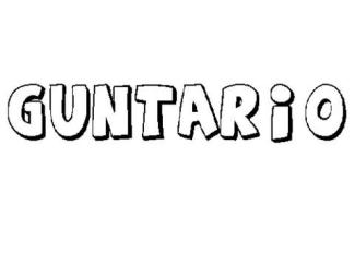 GUNTARIO