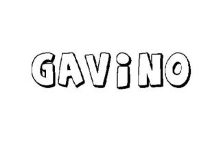 GAVINO