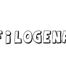 FILÓGENA