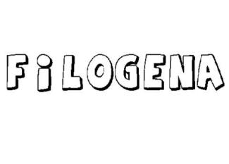 FILÓGENA