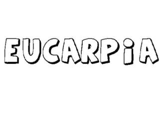 EUCARPIA