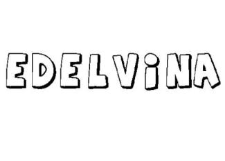 EDELVINA